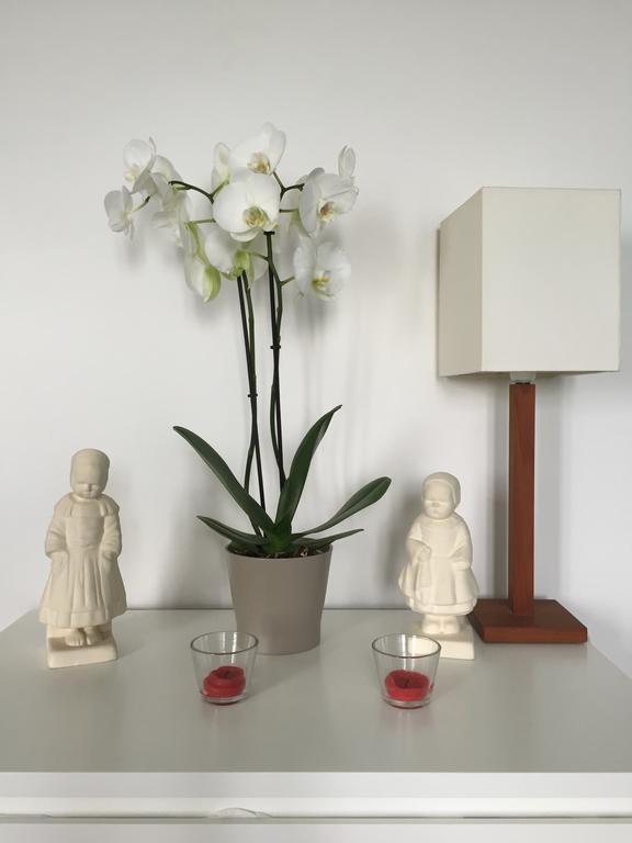 Appartement Design I - Port Du Rosmeur - ดูอาร์เนอนี ภายนอก รูปภาพ